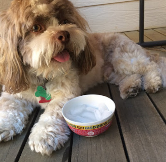 Meet your Posher, Michele - Picture 1 of 1